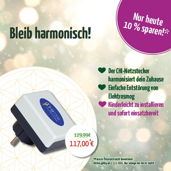 Harmonisiert durch die Weihnachtszeit_NL-3