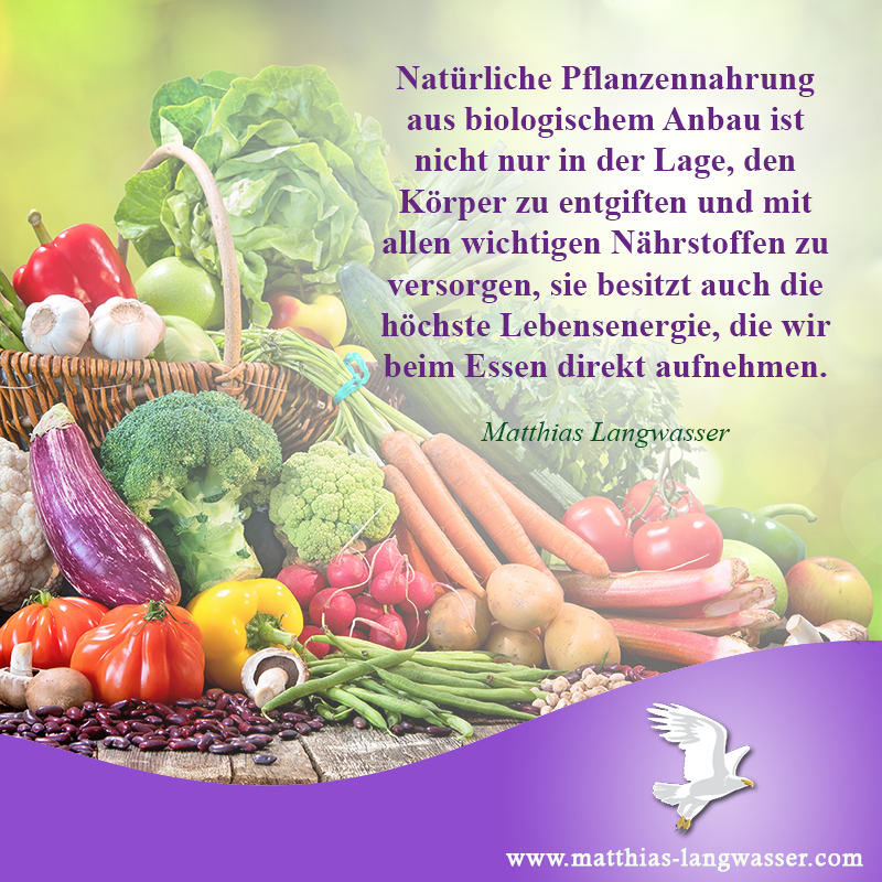 Natürliche Pflanzennahrung